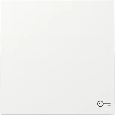 Gira 328770 schakelwip met symbool deur F100 wit glans