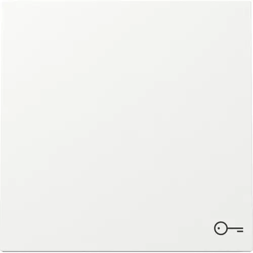 Gira 328770 schakelwip met symbool deur F100 wit glans