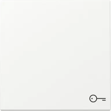 Gira 328727 schakelwip met symbool deur Systeem 55 wit mat