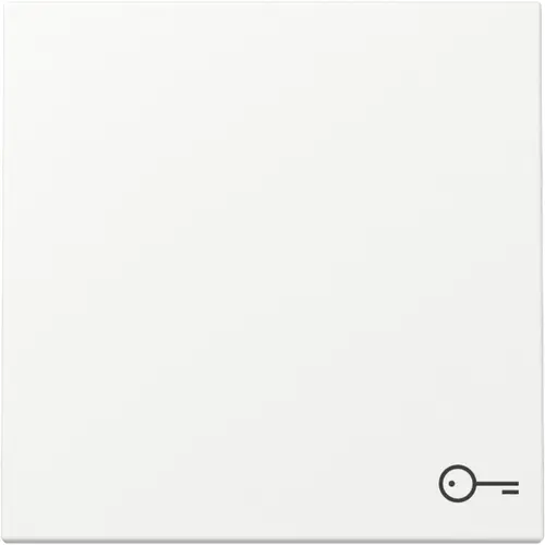 Gira 328727 schakelwip met symbool deur Systeem 55 wit mat