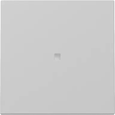 Gira 3290015 schakelwip met controlevenster Systeem 55 grijs mat