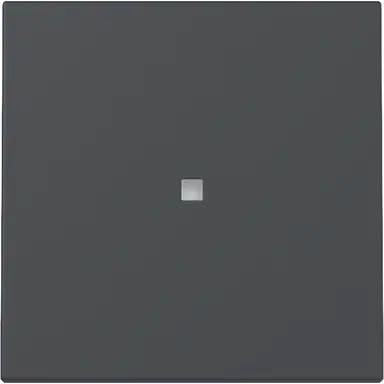 Gira 329028 schakelwip met controlevenster Systeem 55 antraciet mat