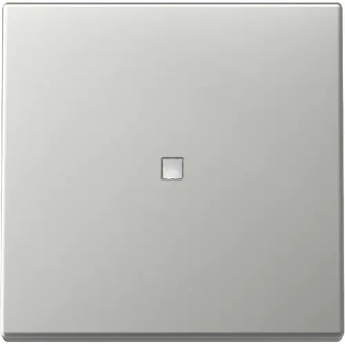 Gira 3290600 schakelwip met controlevenster Systeem 55 edelstaal