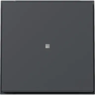 Gira 329067 schakelwip met controlevenster TX44 antraciet