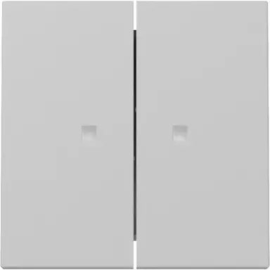 Gira 3631015 schakelwip 2-voudig met controlevenster Systeem 55 grijs mat