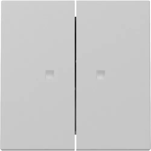 Gira 3631015 schakelwip 2-voudig met controlevenster Systeem 55 grijs mat