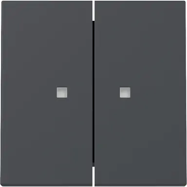 Gira 363128 schakelwip 2-voudig met controlevenster Systeem 55 antraciet mat