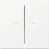 Gira 363127 schakelwip 2-voudig met controlevenster Systeem 55 wit mat