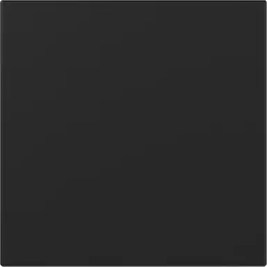 Gira 3496005 schakelwip rechtstaand Systeem 55 zwart mat