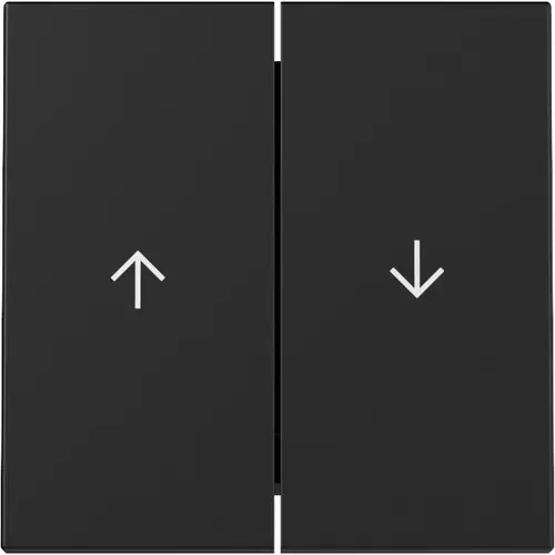 Gira 3294005 schakelwip jaloezieschakelaar 2-voudig Systeem 55 zwart mat