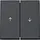 Gira 329467 schakelwip jaloezieschakelaar 2-voudig TX44 antraciet