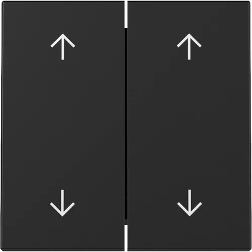 Gira 3297005 schakelwip jaloezieschakelaar 4-voudig Systeem 55 zwart mat