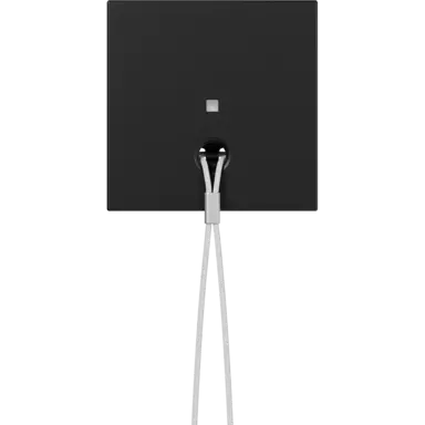 Gira 3638005 centraalplaat met controlevenster voor trekschakelaar Systeem 55 zwart mat
