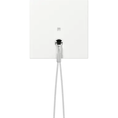 Gira 363827 centraalplaat met controlevenster voor trekschakelaar Systeem 55 wit mat