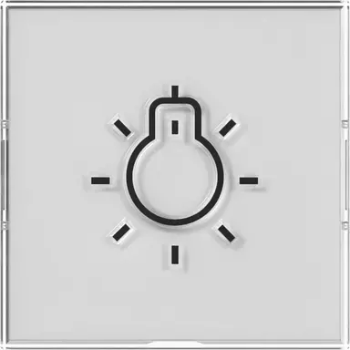 Gira 321600 schakelwip kleurneutraal met groot tekstkader en groot reliëfsymbool licht