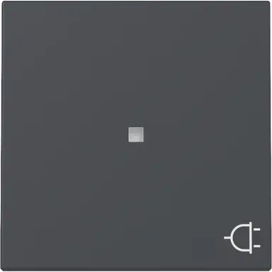 Gira 329128 schakelwip met symbool stekker en controlevenster Systeem 55 antraciet mat