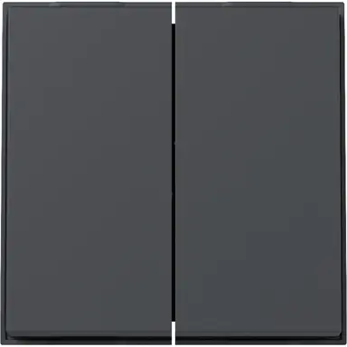 Gira 329567 schakelwip 2-voudig TX44 antraciet