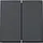 Gira 329567 schakelwip 2-voudig TX44 antraciet