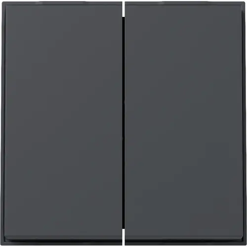 Gira 329567 schakelwip 2-voudig TX44 antraciet