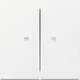 Gira 363103 schakelwip 2-voudig met controlevenster Systeem 55 wit glans