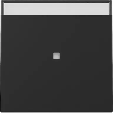 Gira 3670005 wip met controlevenster en tekstkader Systeem 55 zwart mat