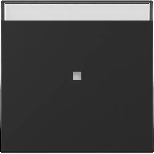 Gira 3670005 wip met controlevenster en tekstkader Systeem 55 zwart mat