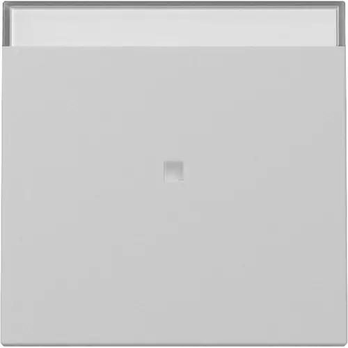 Gira 3670015 wip met controlevenster en tekstkader Systeem 55 grijs mat