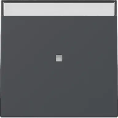 Gira 367028 wip met controlevenster en tekstkader Systeem 55 antraciet mat