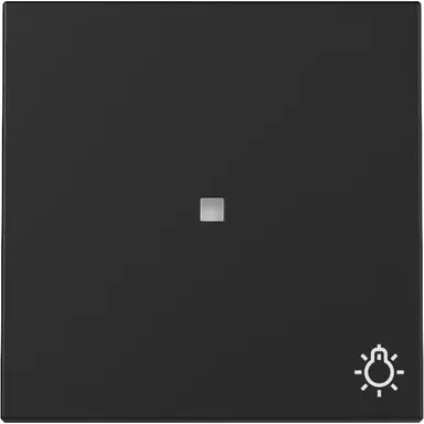 Gira 3674005 schakelwip met symbool licht en controlevenster Systeem 55 zwart mat