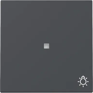 Gira 367428 schakelwip met symbool licht en controlevenster Systeem 55 antraciet mat