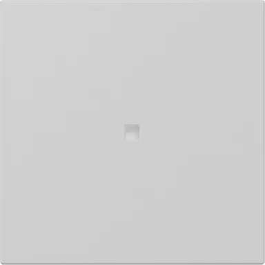 Gira 3490015 schakelwip rechtstaand met controlevenster Systeem 55 grijs mat