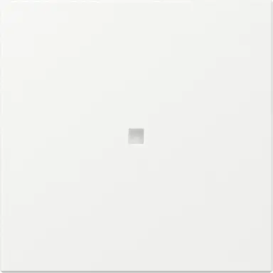 Gira 349027 schakelwip rechtstaand met controlevenster Systeem 55 wit mat