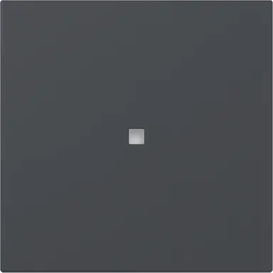 Gira 349028 schakelwip rechtstaand met controlevenster Systeem 55 antraciet mat