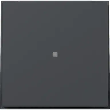 Gira 349067 schakelwip rechtstaand met controlevenster TX44 antraciet