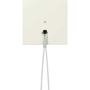 Gira 363801 centraalplaat met controlevenster voor trekschakelaar Systeem 55 creme glans