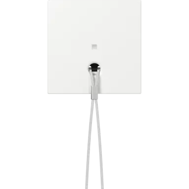 Gira 363803 centraalplaat met controlevenster voor trekschakelaar Systeem 55 wit glans