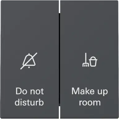 Gira 310428 schakelaar met 2-voudige wip voor hotelkamerstatus Systeem 55 antraciet mat