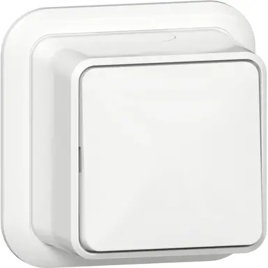 Gira 310211 schakelaar 2-polig opbouw wit