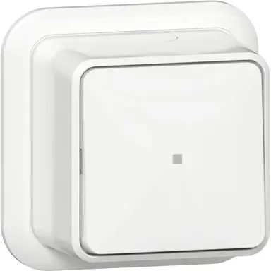 Gira 311211 schakelaar 2-polig controleverlichting opbouw wit