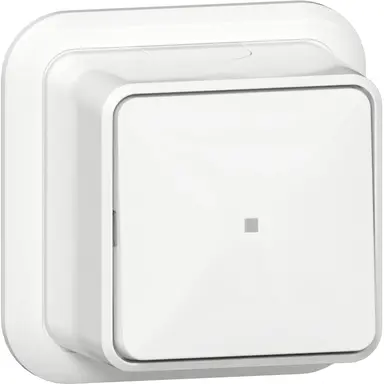 Gira 315611 pulsdrukker wisselcontact 1-polig met controlevenster opbouw wit