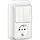 Gira 417511 combinatie serieschakelaar en wandcontactdoos randaarde opbouw wit