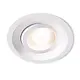 Plejd DWN-01-W inbouwspot Tilt verstelbaar 8W wit