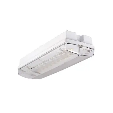 Intelight 91715 ORION LED II 150 SA opbouw noodverlichtingsarmatuur 4,5W 3H grijs IP65