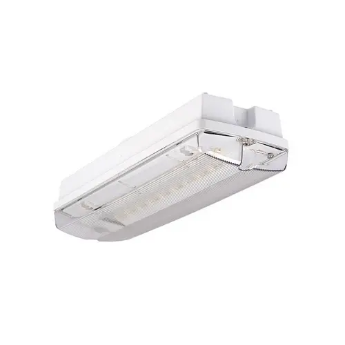 Intelight ORION LED II 100 SA opbouw noodverlichtingsarmatuur LED 3,5 Watt 5000K IP65 grijs