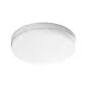 Prolumia 40009370 prodisc iii d335 15w 3000k/