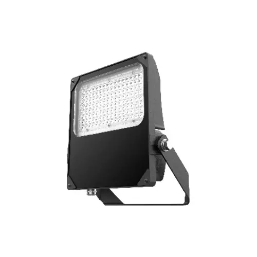 Prolumia 41060751 schijnwerper LED 100W 4000K IP66 zwart