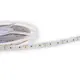 Prolumia 46204012 led strip gold ip68 24vdc 70