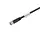 Weidmuller SAIL-M8BG-4-5.0U sensor-actuator patch cord