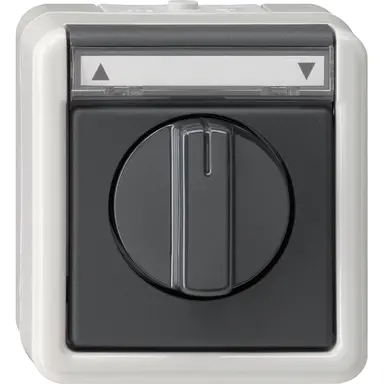 Gira 015430 jaloeziedrukcontact/-schakelaar 1-polig tekstkader IP44