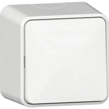 Gira 310613 wisselschakelaar met interne montageplaat opbouw wit